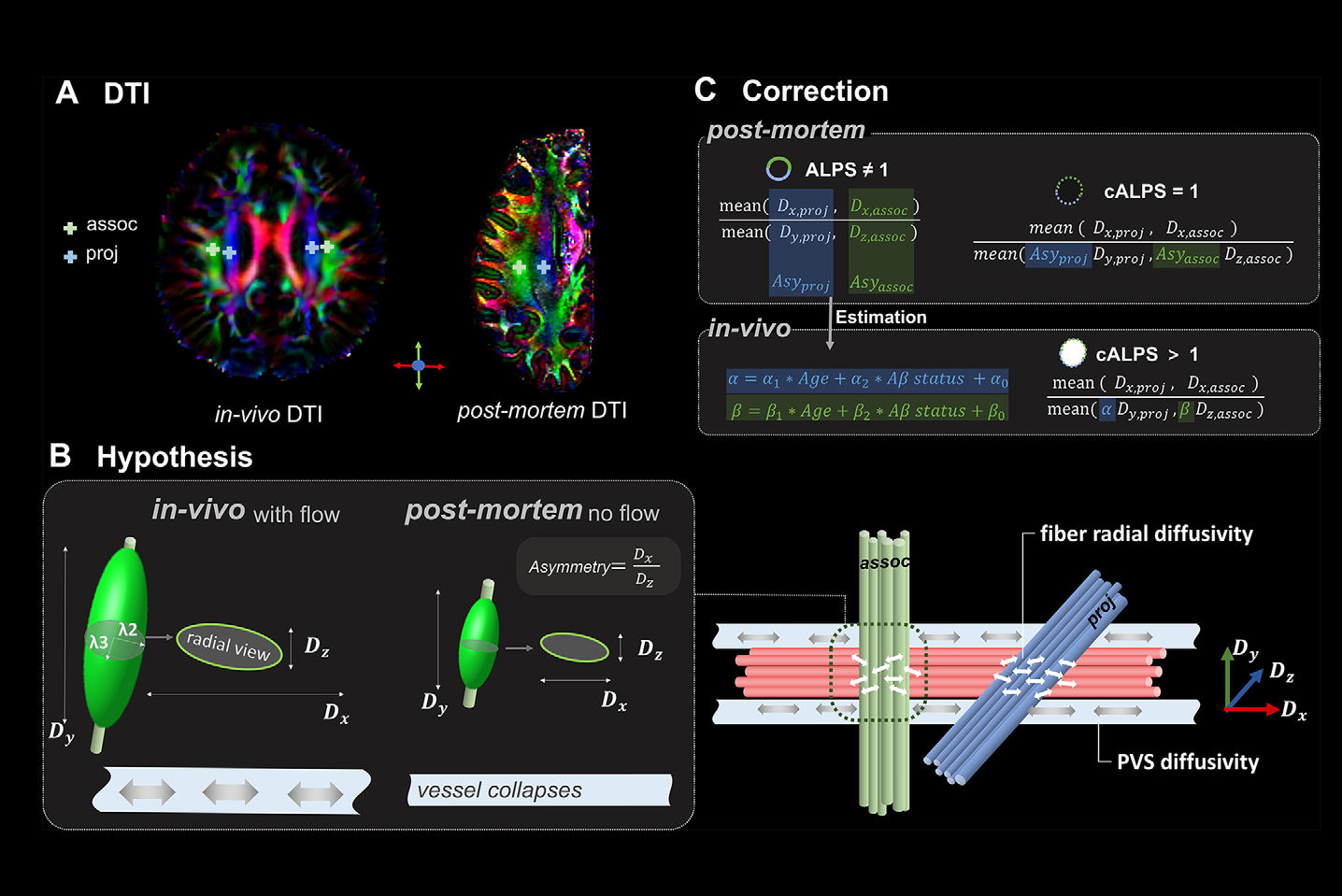2025 09 16 Dti Alps Measurement Alzheimers Disease Fig2 Thumbnail