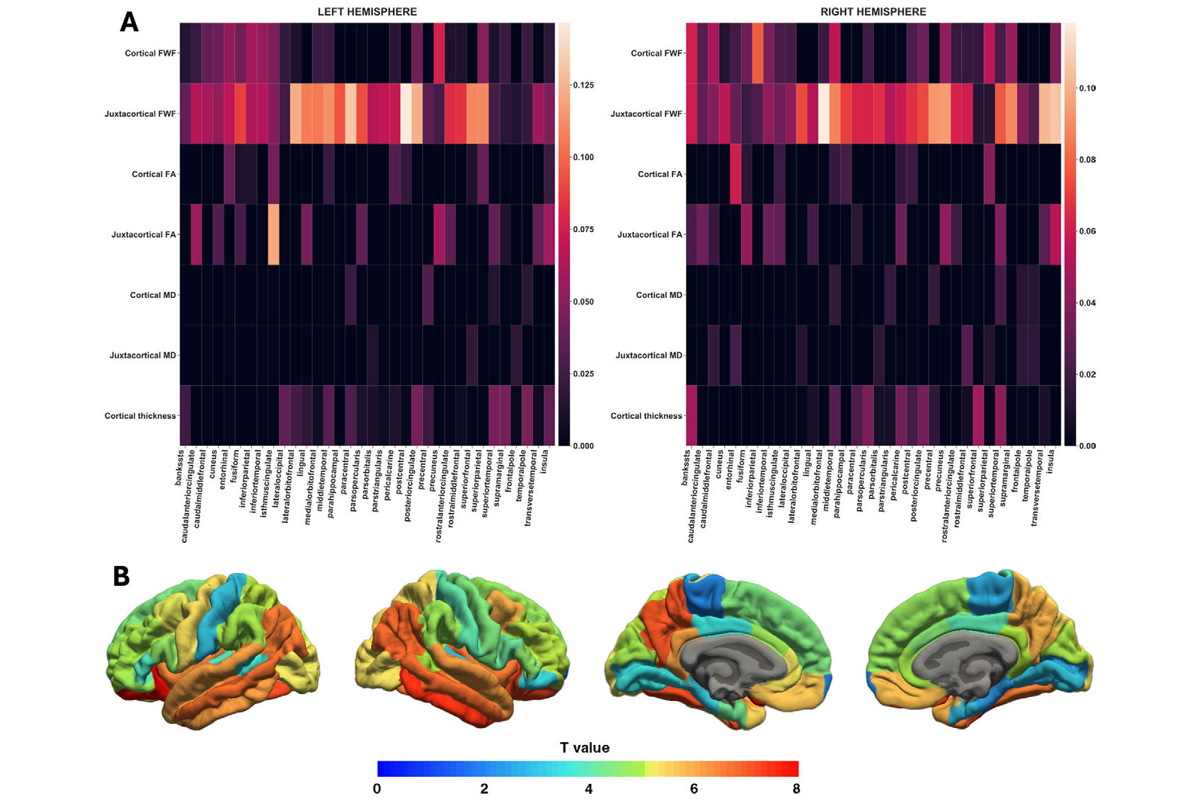 2025 10 07 Free Water Fraction Thumbnail