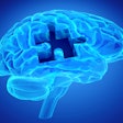 Brain Puzzle Dementia