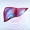 Liver Gallbladder 400