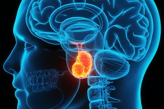 Pituitary Gland Adobe Art Spiral