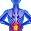 Spine