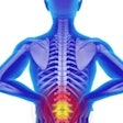 Spine