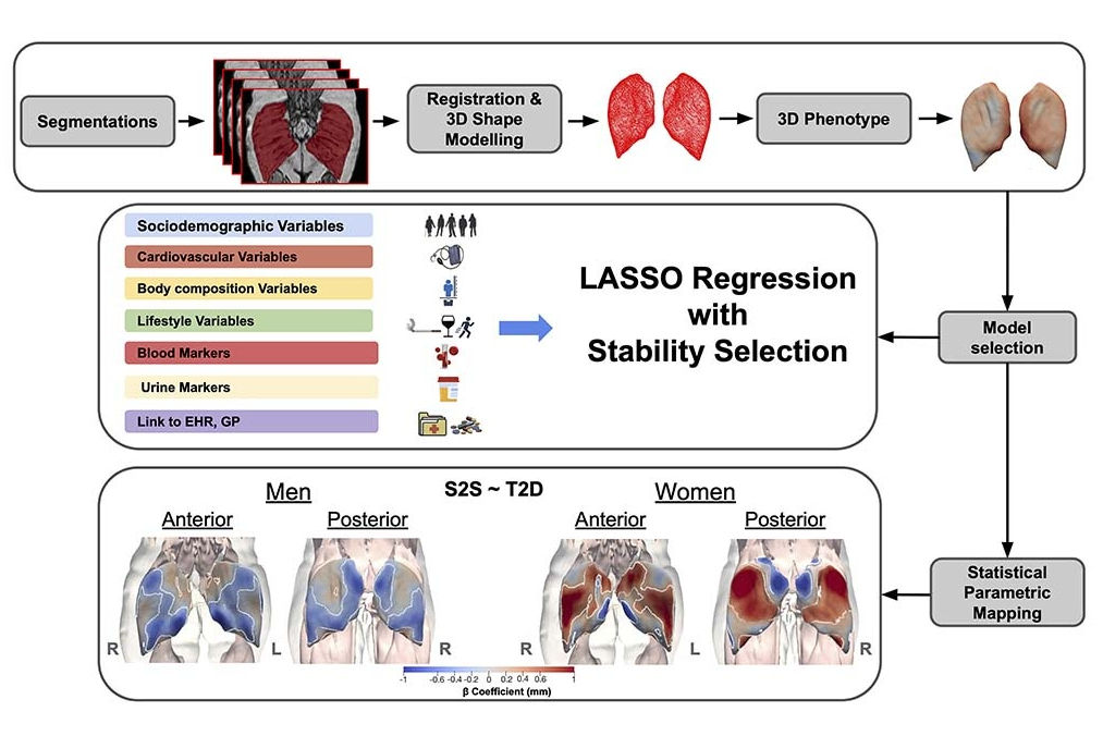 2025 11 21 Buttock Mri Image Thumbnail