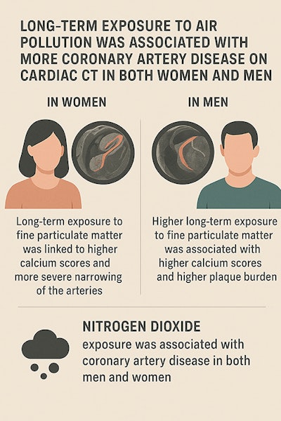 Infographic 2 Castillo1