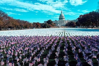 LUNGevity Foundation’s 'White Flag for Lung Cancer' at the National Mall in Washington, DC.