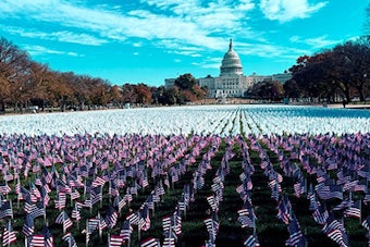 LUNGevity Foundation’s 'White Flag for Lung Cancer' at the National Mall in Washington, DC.