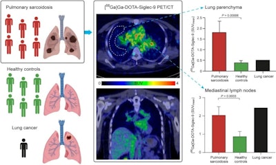 A graphical abstract of the study.