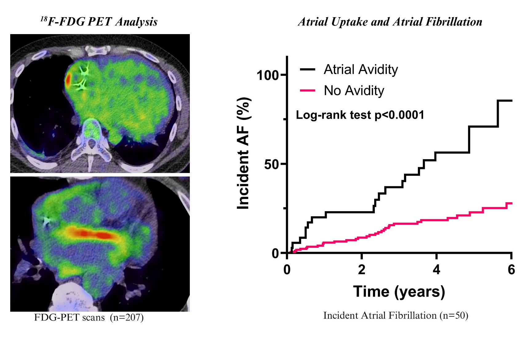 2026 01 20 Fdg Pet Af Thumbnail