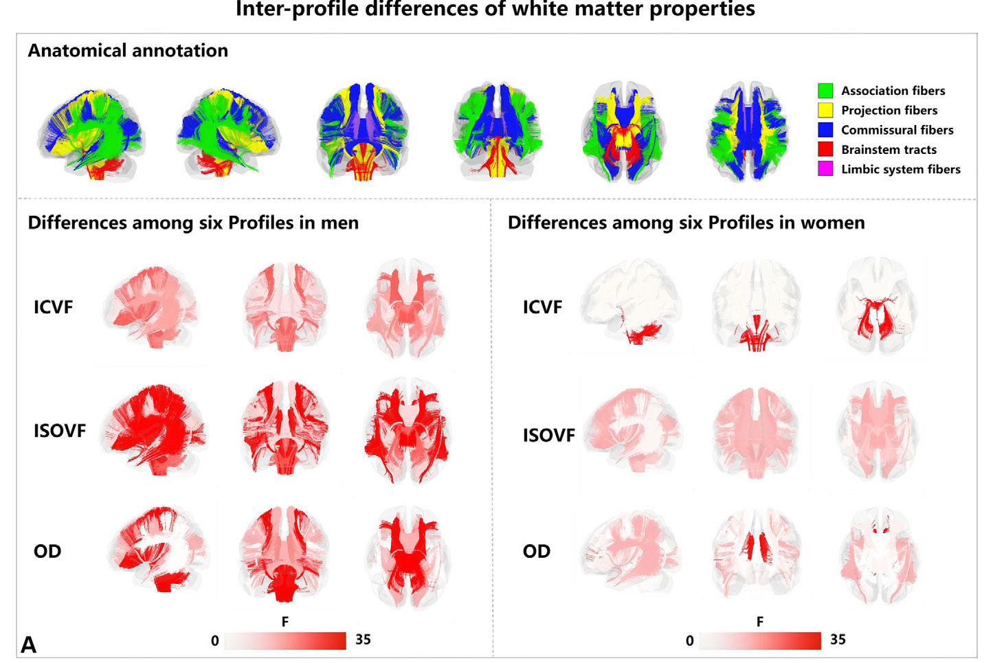 2026 01 27 Radiology Yu Figure3 Thumbnail