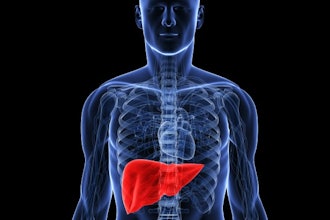 Liver