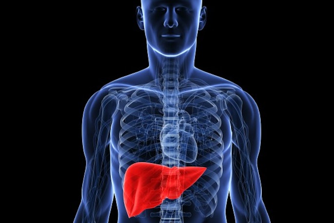 Liver