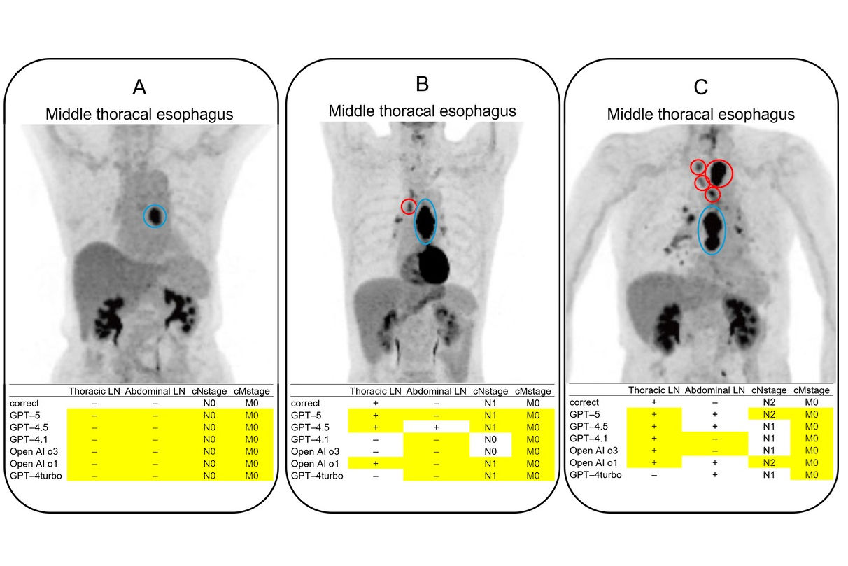 2026 02 27 Llms Pet Thumbnail