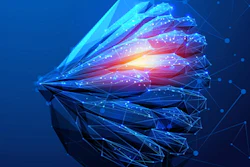 Breast Cancer 3 D 400 (2)