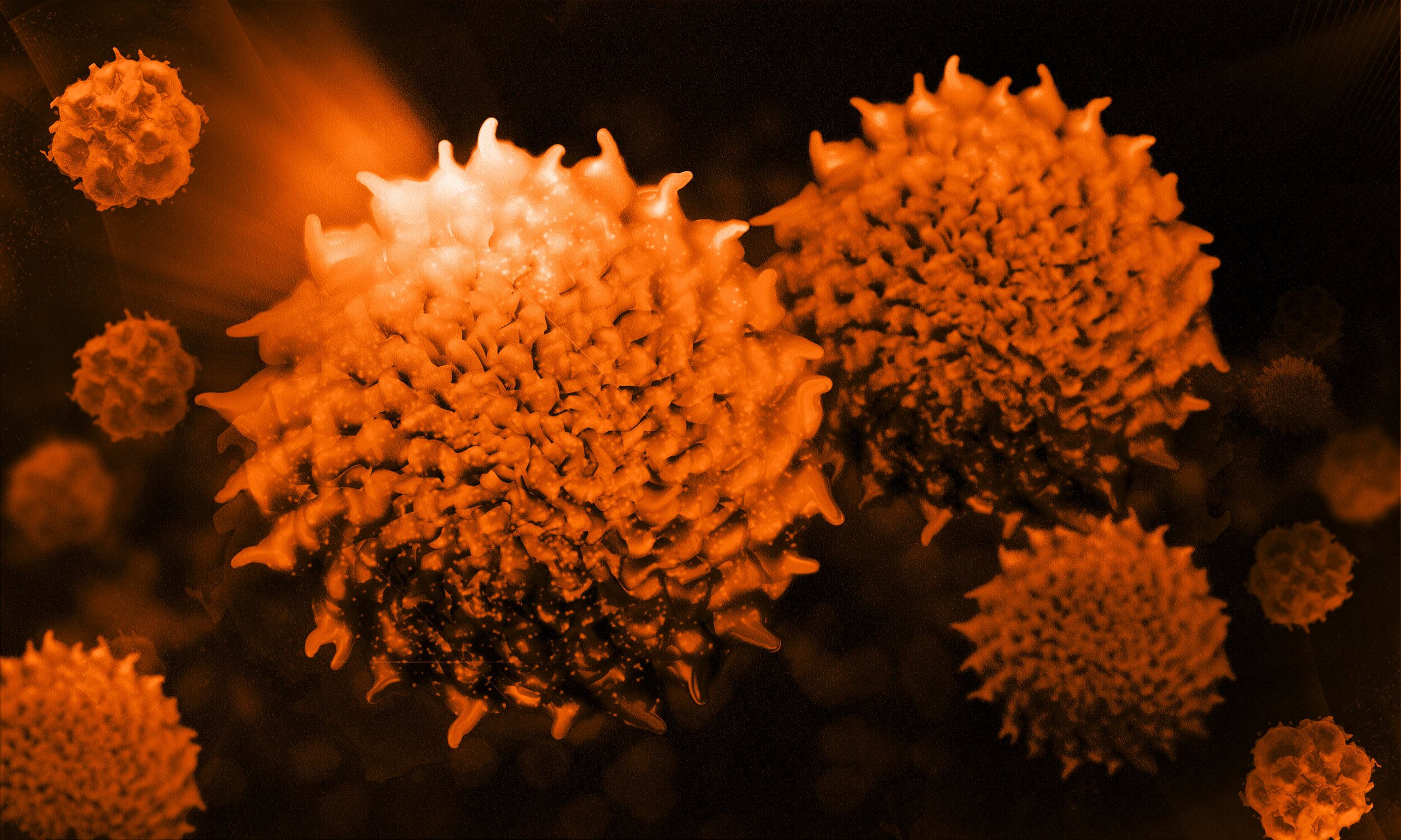 Cancer Cell Image Siemens Healthineers