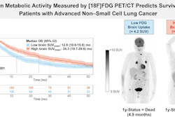 A visual abstract of the study