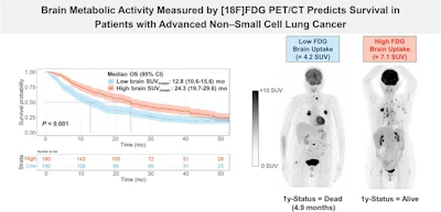 A visual abstract of the study