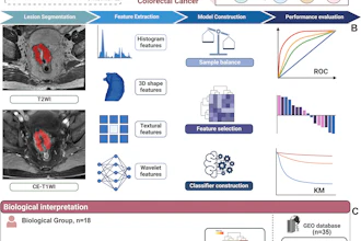 Overview of the study design, including data collection, radiomics model construction, and biologic interpretation. (A) The primary cohort for model development and evaluation in the training and internal test sets includes 168 patients with colorectal cancer (CRC) from center 1 (Fudan University Shanghai Cancer Center), whereas external testing was performed using data from 85 patients from centers 2 (Huashan Hospital, Fudan University) and 3 (Zhongshan Hospital, Fudan University). For model interpretation, RNA sequencing (RNA-seq) data from 18 patients with CRC in center 1 and single-cell data from 35 patients from the Gene Expression Omnibus (GEO) database are incorporated. Mismatch repair (MMR) protein expression, obtained from pathologic reports in electronic medical records (EMRs), was used to identify patients with consensus molecular subtype 1 (CMS1) CRC. Tissue microarrays (TMAs) from surgically obtained CRC tissues were analyzed for immunohistochemical staining of caudal-type homeobox 2 (CDX2), 5-hydroxytryptamine receptor 2B (HTR2B), FERM domain containing 6 (FRMD6), and zinc finger E-box binding homeobox 1 (ZEB1), and the results were subsequently entered into an online classification tool that assigned patients to CMS2, 3, or 4 subtypes. (B) Radiomics workflow for CMS4 prediction. Lesions were manually delineated on T2-weighted imaging (T2WI) and contrast-enhanced (CE) T1-weighted imaging (T1WI), followed by radiomics feature extraction. Feature selection and model development were performed in the training set using machine-learning algorithms with fivefold cross-validation for model selection, and the final model was evaluated in the internal and external test sets using receiver operating characteristic (ROC) curve analysis. (C) Transcriptomic interpretation workflow. Using the radiomics-predicted CMS4 classification, bulk RNA sequencing (RNA-seq) data were used to perform differential expression analysis between predicted CMS4 and non-CMS4 groups, followed by pathway enrichment analyses to assess biologic relevance. Public single-cell RNA sequencing data from the Gene Expression Omnibus database were then used for cell-type–level interrogation to support interpretation of the associated pathways.