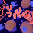 Alzheimers Tau