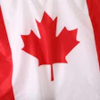 Am 2014 02 11 15 10 50 886 Canadian Flag 200 (1)