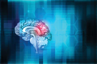 Brain Abstract