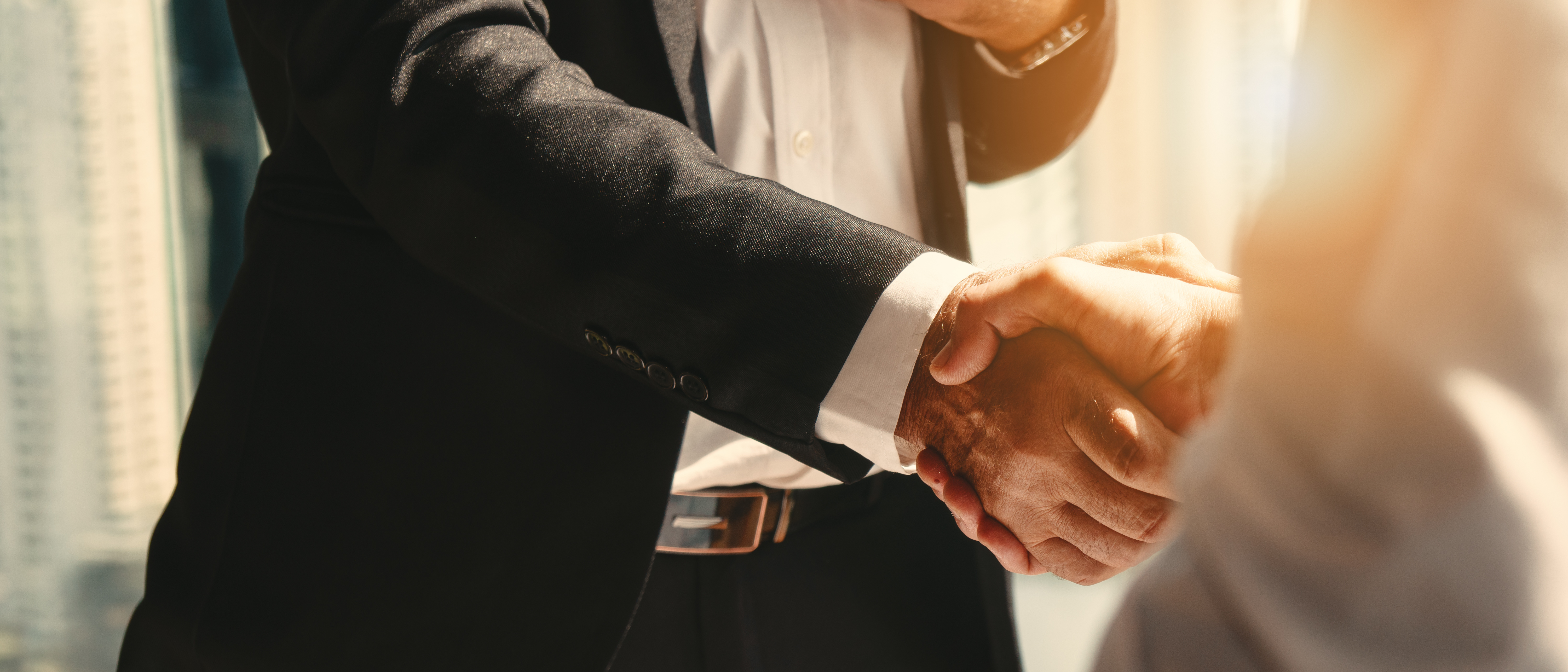 Business Handshake Man