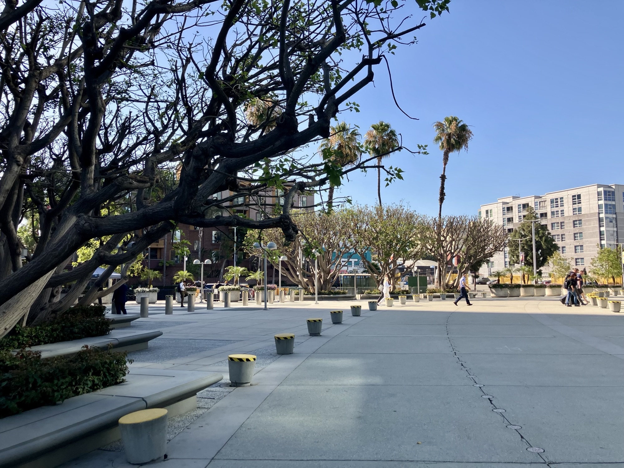 Center courtyard