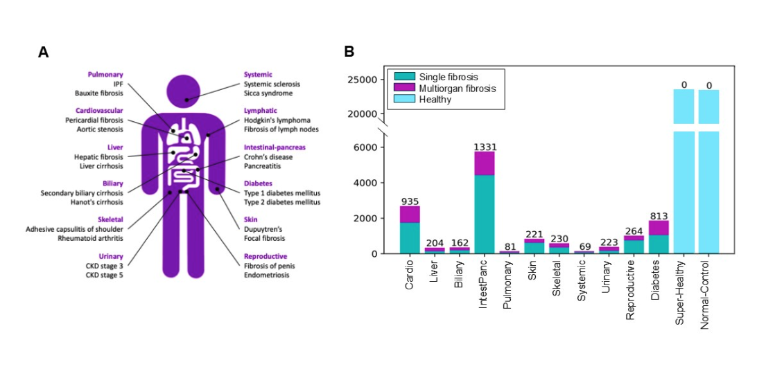 Fibrotic Buckets Disease Inclusion Uk Biobank Population Ismrm2026