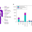 Fibrotic Buckets Disease Inclusion Uk Biobank Population Ismrm2026