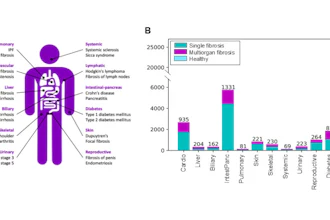 Fibrotic Buckets Disease Inclusion Uk Biobank Population Ismrm2026