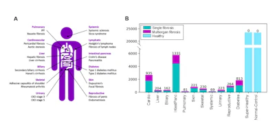 Fibrotic Buckets Disease Inclusion Uk Biobank Population Ismrm2026