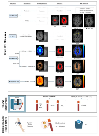 Illustrative summary of MRI analysis pipeline, plasma biomarkers, and cardiovascular risk measures included in the exploratory factor analysis.
