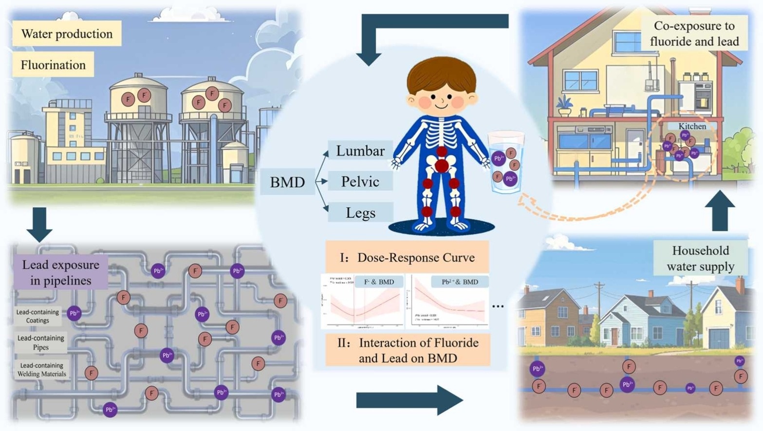 A graphical abstract of the study.