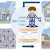 A graphical abstract of the study.