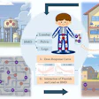 A graphical abstract of the study.