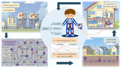 A graphical abstract of the study.