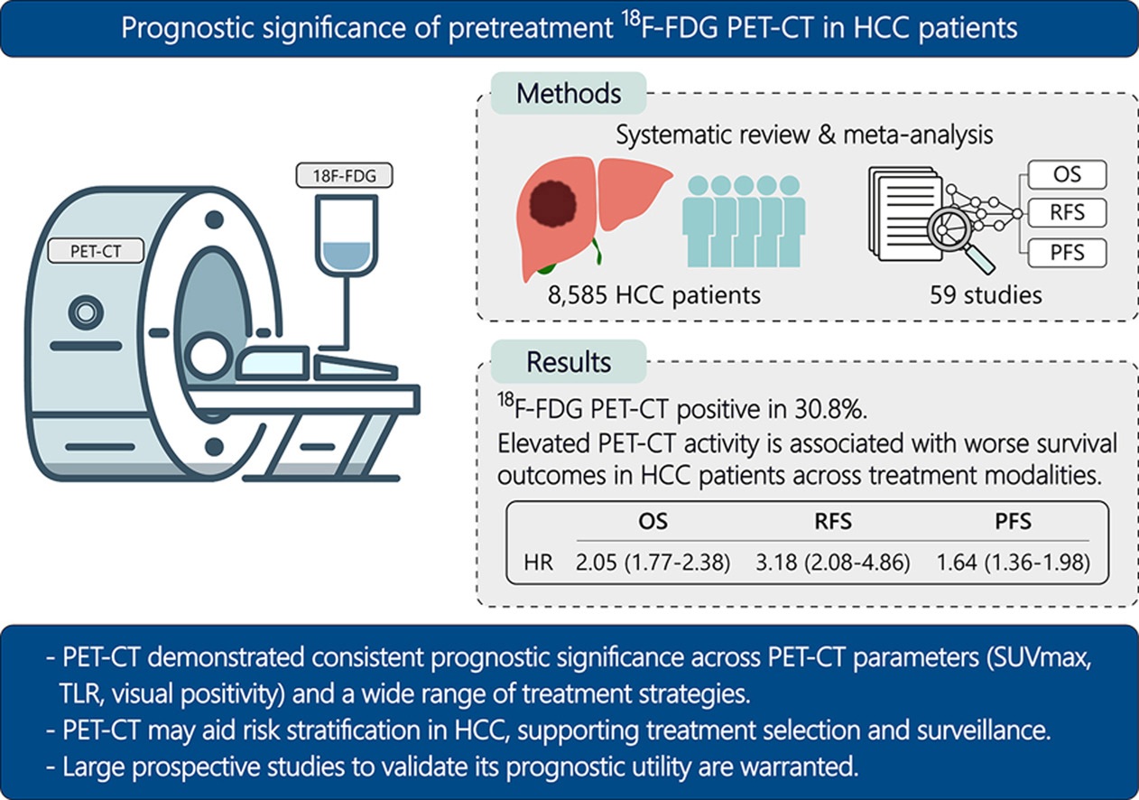 A graphical abstract of the study.