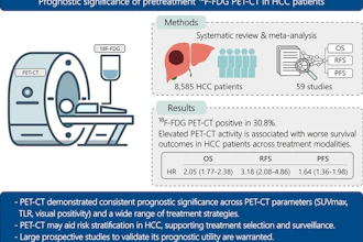 A graphical abstract of the study.