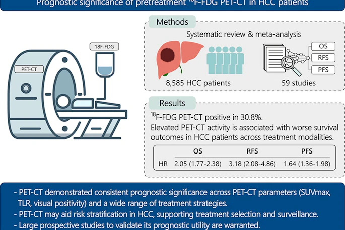 A graphical abstract of the study.