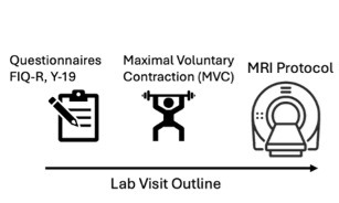 Ismrm 15 May Thumb