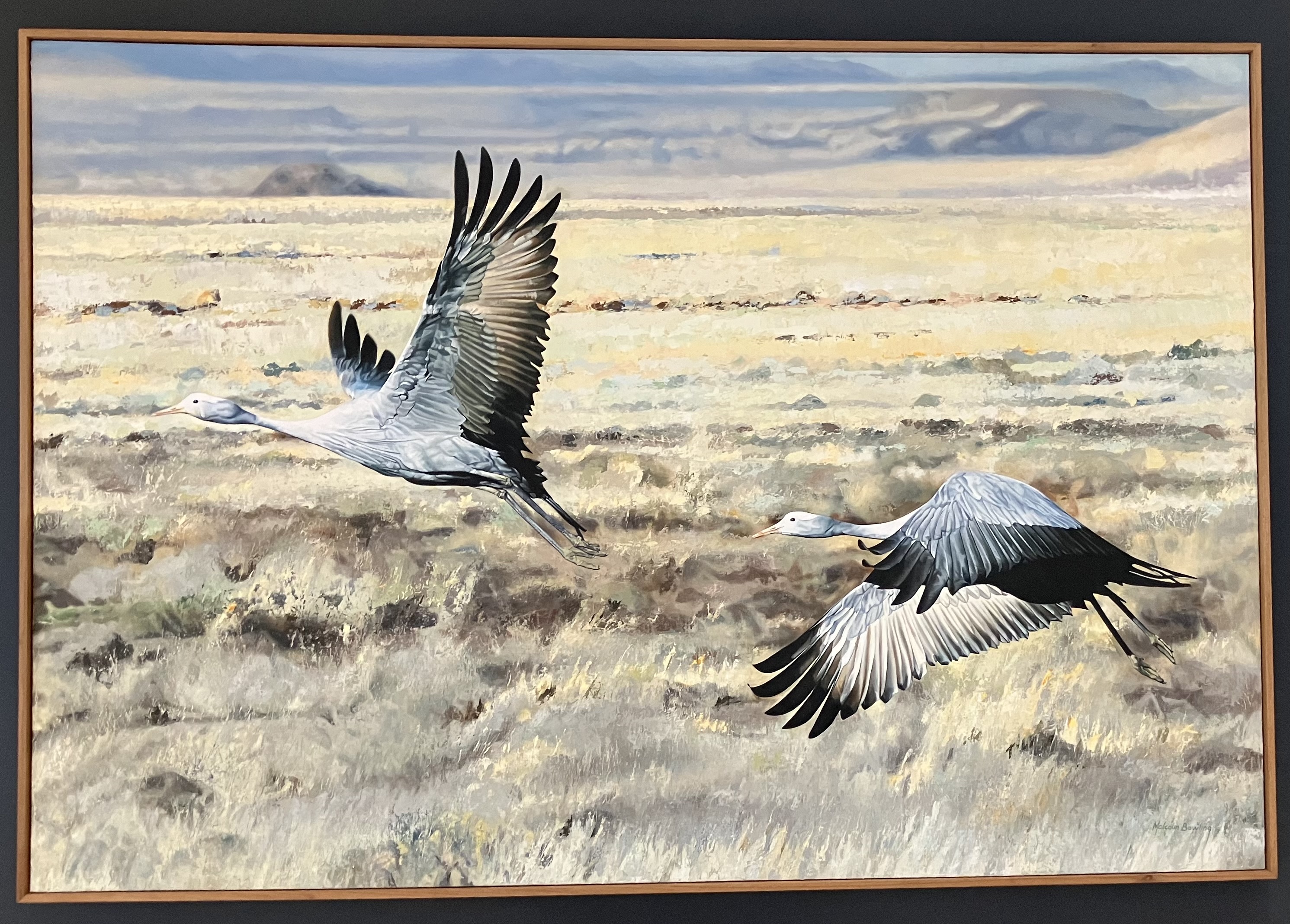 ISMRM artwork: Indwe - 'Together We Fly' by Malcolm Bowling