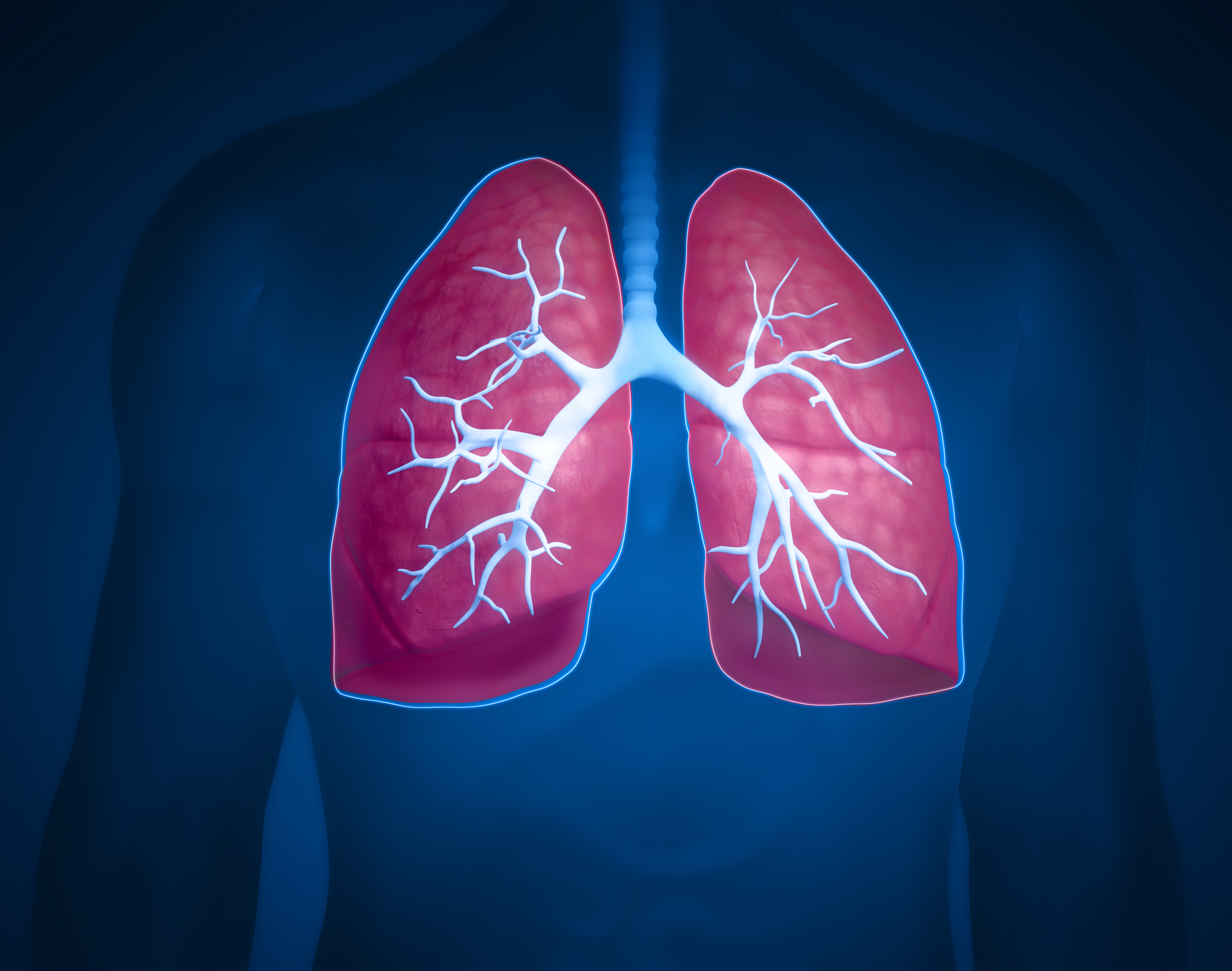 Lung General