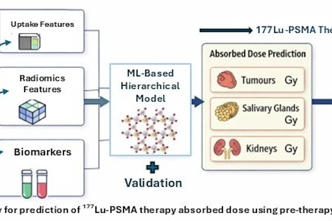 A visual abstract of the study.