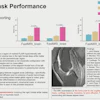 OmniMRI in the context of reporting.