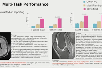 OmniMRI in the context of reporting.