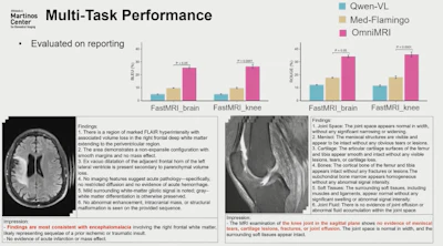 OmniMRI in the context of reporting.
