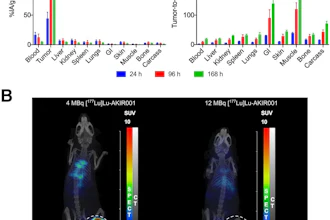 Biodistribution of Lu-177 AKIR001. (A) Mice (N = 12) bearing BxPC3 tumors were injected with Lu-177 AKIR001 and dissected at 24 (N = 4), 96 (N = 4), and 168 hours (N = 4) postinjection. Error bars represent SD. (B) Representative SPECT/CT images at 96 hours postinjection. GI = gastrointestinal.