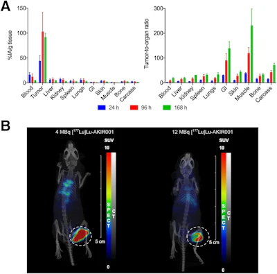 Biodistribution of Lu-177 AKIR001. (A) Mice (N = 12) bearing BxPC3 tumors were injected with Lu-177 AKIR001 and dissected at 24 (N = 4), 96 (N = 4), and 168 hours (N = 4) postinjection. Error bars represent SD. (B) Representative SPECT/CT images at 96 hours postinjection. GI = gastrointestinal.