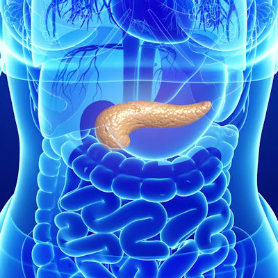 Am 2018 03 06 00 04 4002 Pancreas New 400