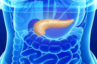 Am 2018 03 06 00 04 4002 Pancreas New 400